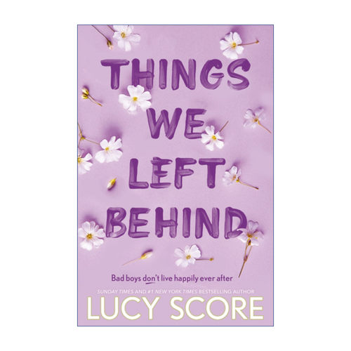 Things We Left Behind 我们留下的东西 北美晋江文学 Knockemout3进口原版英文书籍