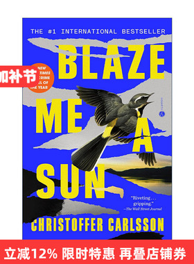 英文原版 Blaze Me a Sun 为我点燃太阳 犯罪悬疑小说 Christoffer Carlsson 英文版 进口英语原版书籍