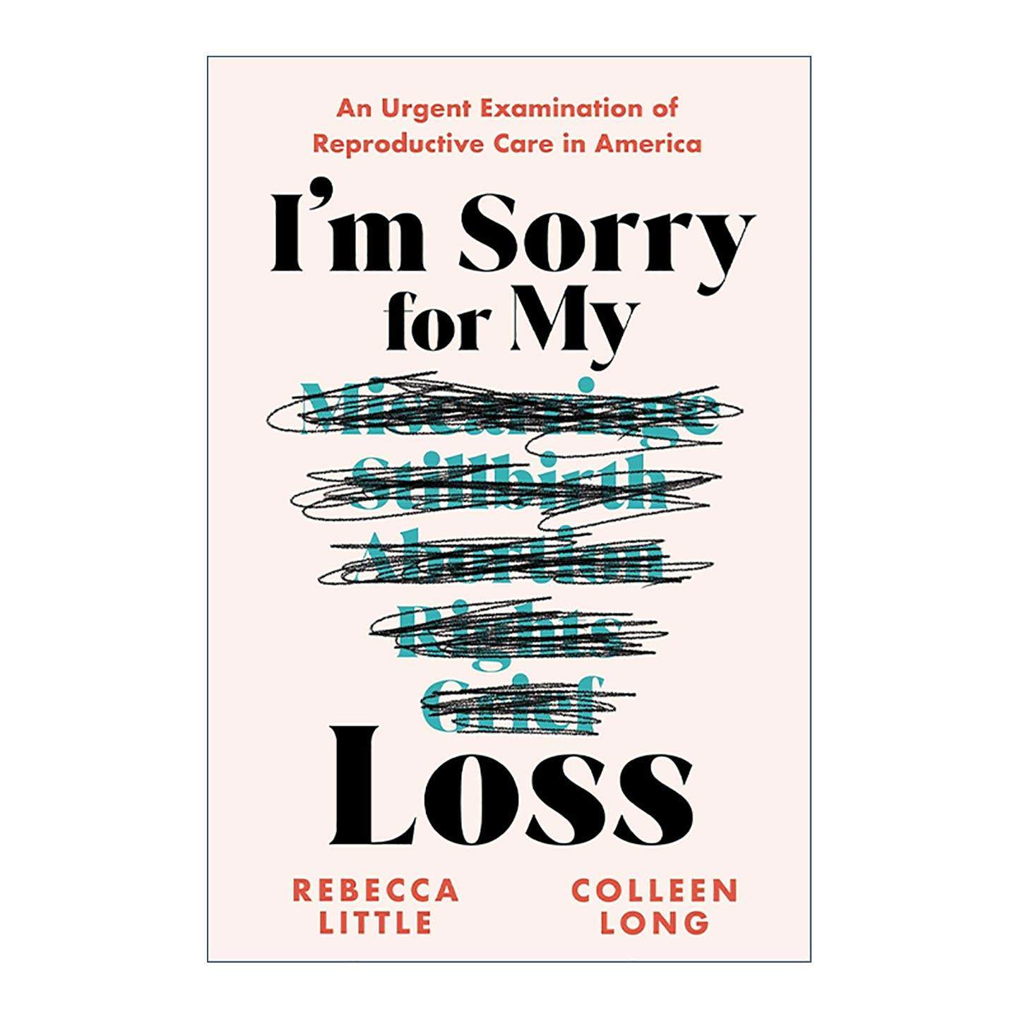 英文原版 I'm Sorry for My Loss 我为我的失败感到抱歉 美国生殖保健的紧急检查 怀孕 流产 社会学 英文版 进口英语原版书籍