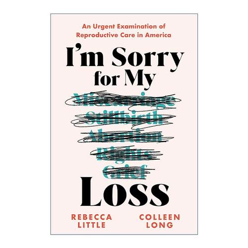 英文原版 I'm Sorry for My Loss 我为我的失败感到抱歉 美国生殖保健的紧急检查 怀孕 流产 社会学 英文版 进口英语原版书籍