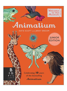 英文原版 Animalium Junior Edition 欢迎来到博物馆系列之动物博物馆 儿童版7-11岁 动物科普百科精装 英文版 进口英语原版书籍