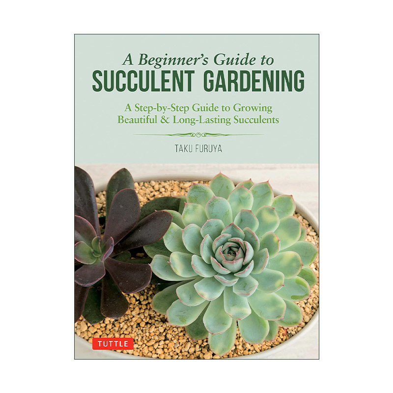 英文原版 A Beginner's Guide to Succulent Gardening 多肉植物园艺初学者种植指南 插图版 Taku Furuya 英文版 进口英语原版书籍
