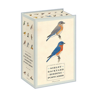 观鸟指南 书籍 Backyard 进口英语原版 英文版 David 西布利鸟类明信片 Postcards Birding Sibley 英文原版
