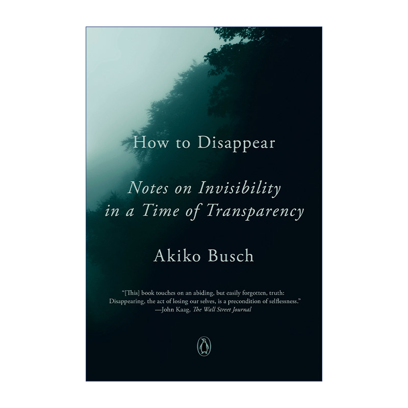 How to Disappear无隐私时代重新审视人生价值 Akiko Busch进口英文原版书籍