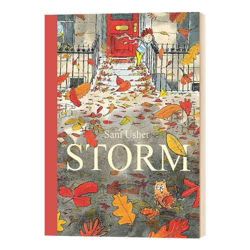 英文原版 Storm 暴风 气候绘本 Sam Usher 英文版 进口原版英文书籍