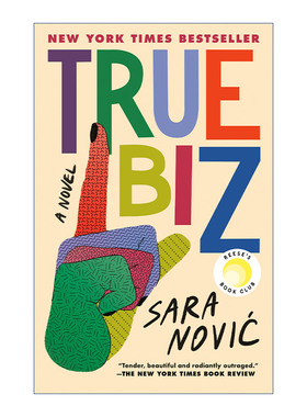 True Biz 真正的生意 聋哑学校 手语 Girl at War作者Sara Novic进口原版英文书籍