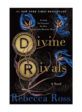 英文原版 Divine Rivals 神圣对手 魔法信件 精装 丽贝卡·罗斯战时奇幻爱情小说 英文版 进口英语原版书籍