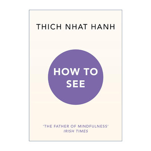 英文原版 How to See 如何洞察 冥想小书 英文版 进口英语原版书籍