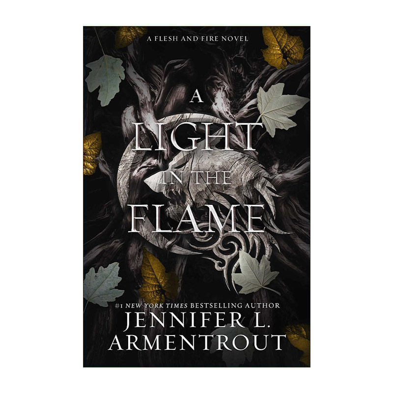 英文原版 A Light in the Flame 火焰中的光 肉与火系列 精装 奇幻小说 英文版 进口英语原版书籍
