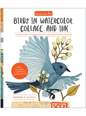 英文原版 Geninne's Art Birds in Watercolor Collage and Ink 吉宁娜的艺术 水彩 拼贴和水墨画中的鸟类 艺术技巧和野外观察