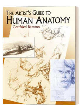 The Artist's Guide to Human Anatomy  艺术家人体解剖学指南进口原版英文书籍