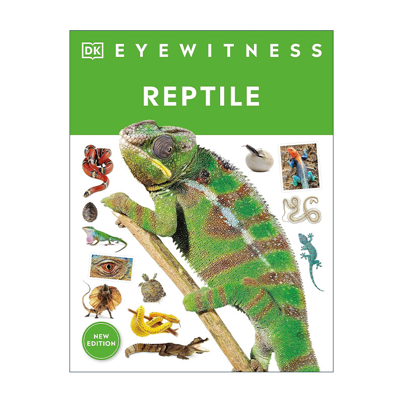 英文原版 DK Eyewitness Reptile 目击者系列 两栖动物 儿童科普百科 英文版 进口英语原版书籍