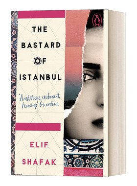 英文原版小说 The Bastard of Istanbul 伊斯坦布尔孤儿 埃利芙·沙法克 Penguin Essentials系列 英文版 进口英语原版书籍
