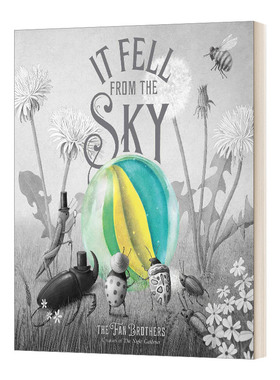 It Fell From The Sky 从天而降的奇迹  精装绘本 范氏兄弟进口原版英文书籍