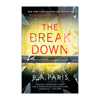 The Breakdown 崩溃 惊悚小说进口英文原版书籍