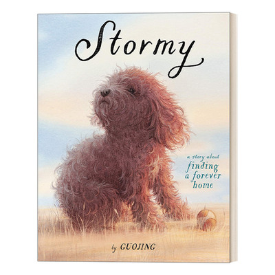 Stormy 暴风雨：寻找一个永远的家 3-7岁儿童友谊漫画绘本 独生小孩作者郭婧 精装进口原版英文书籍