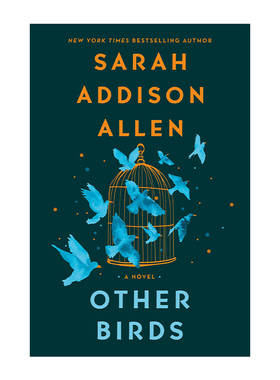 英文原版Other Birds  蓝绿色的小鸟  魔幻小说进口书籍