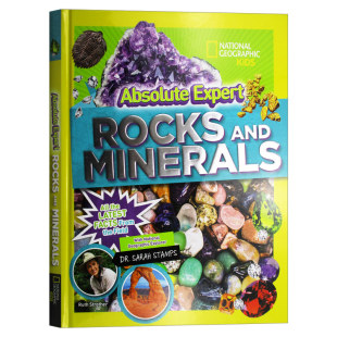 绝对专家 Expert 英文版 绝对专业 岩石和矿物 Minerals Rocks Absolute 英文原版