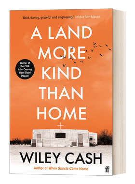 A Land More Kind Than Home 比家更亲切的地方 威利·凯西 纽约时报畅销小说进口原版英文书籍