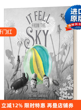 It Fell From The Sky 从天而降的奇迹  精装绘本 范氏兄弟进口原版英文书籍