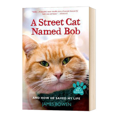 A Street Cat Named Bob一只名叫鲍勃的流浪猫 平装版进口原版英文书籍