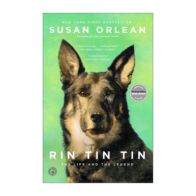英文原版 Rin Tin Tin 牧羊犬任丁丁 它的一生和传奇 影视原著 愿你被温柔爱过 明星狗狗故事 英文版 进口英语原版书籍
