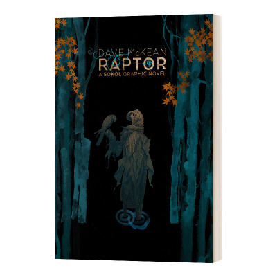 Raptor: A Sokol Graphic Novel 猛禽:索科尔漫画小说进口原版英文书籍