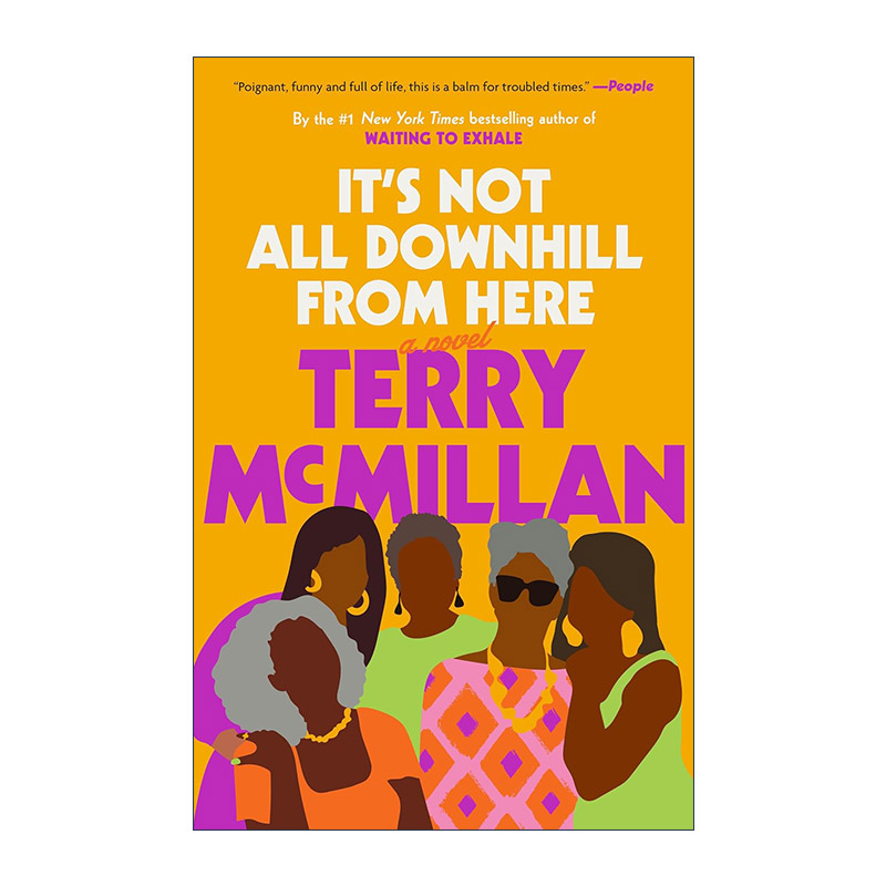 英文原版 It's Not All Downhill From Here 从这里开始并不都是下坡路 女性小说 Terry McMillan 英文版 进口英语原版书籍
