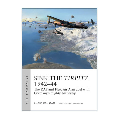 英文原版 Sink the Tirpitz 1942–44 二战巅峰对决 猎杀提尔皮茨号战列舰 空中战役系列 英文版 进口英语原版书籍