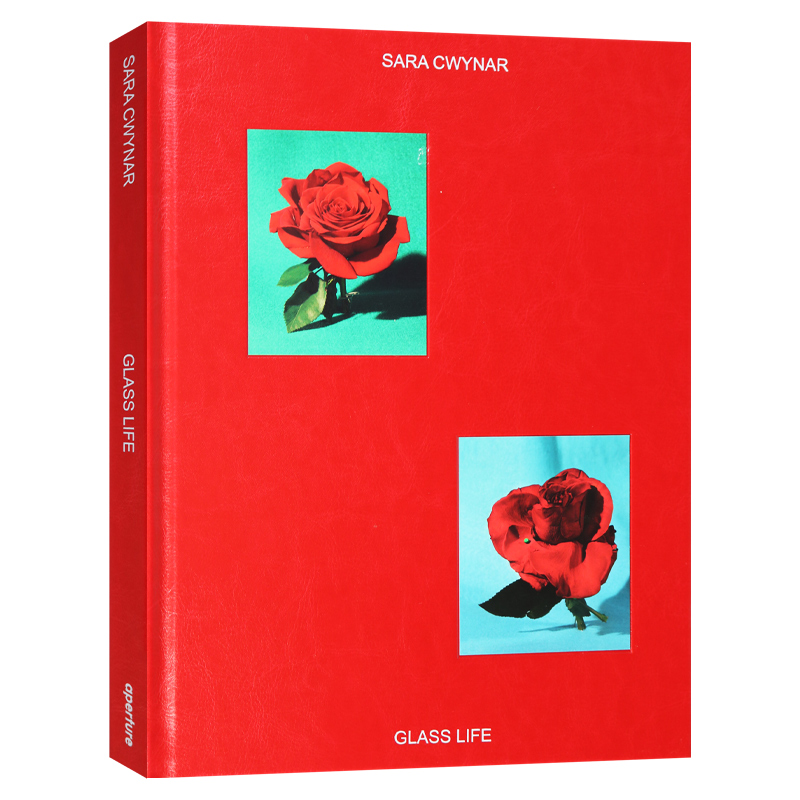 Sara Cwynar: Gilded Age 玻璃生活 加拿大摄影师莎拉·奎纳尔作品集 精装进口英文原版书籍