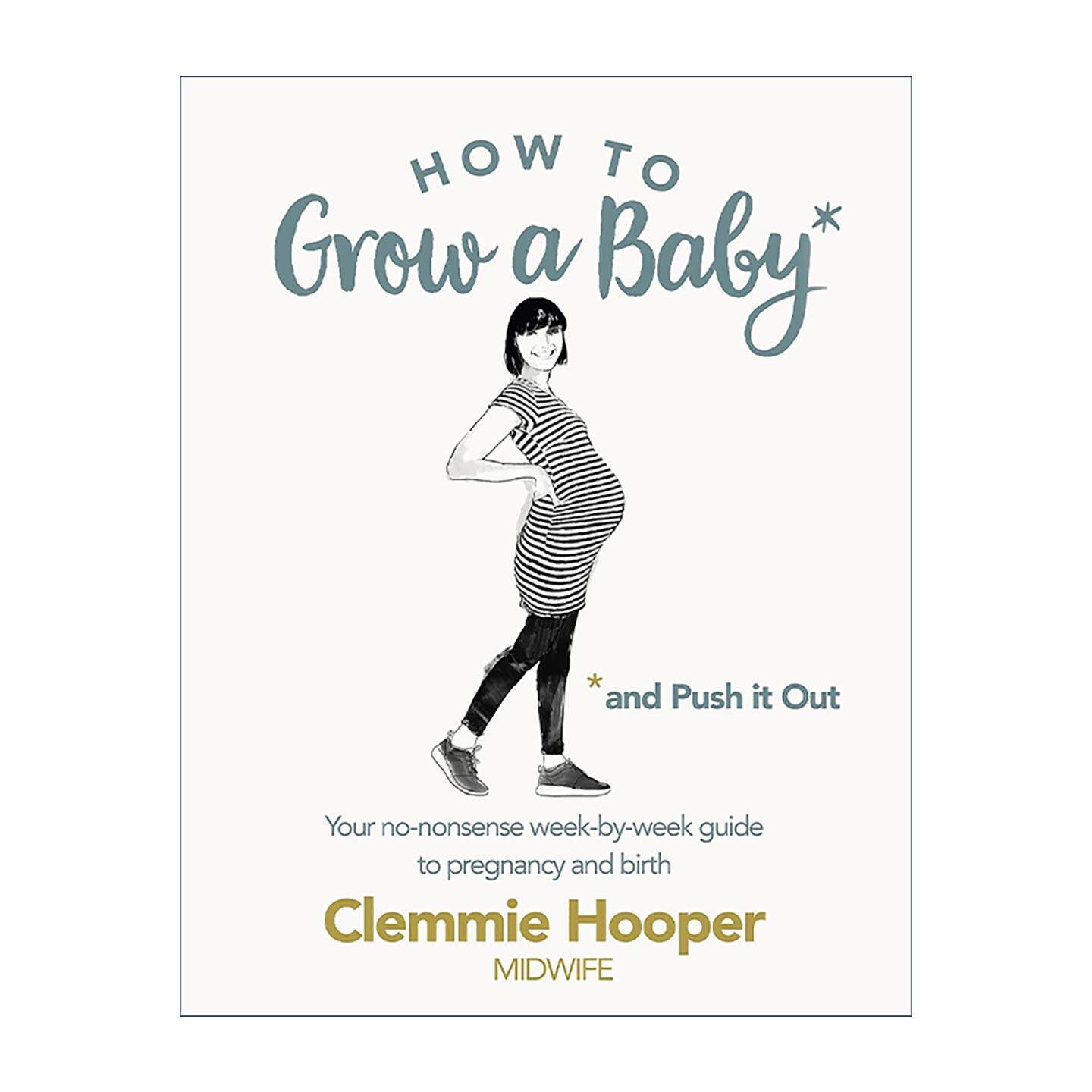 英文原版 How to Grow a Baby and Push It Out 如何孕育并生下宝宝 英国资深助产士Clemmie Hooper 英文版 进口英语原版书籍