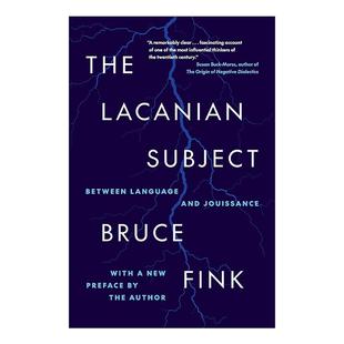 英文原版 The Lacanian Subject 拉康式主体 在语言与享乐之间 布鲁斯·芬克 英文版 进口英语原版书籍