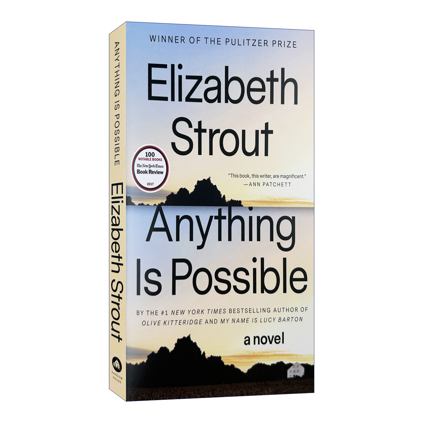 英文原版小说 Anything Is Possible 一切皆有可能 英文版 进口英语原版书籍