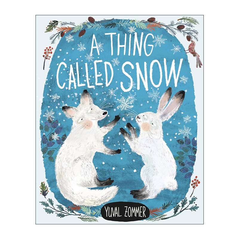 英文原版 A Thing Called Snow 一种叫做雪的东西 儿童自然精装绘本 脚下的世界作者尤瓦?左墨Yuval Zommer 进口英语原版书籍