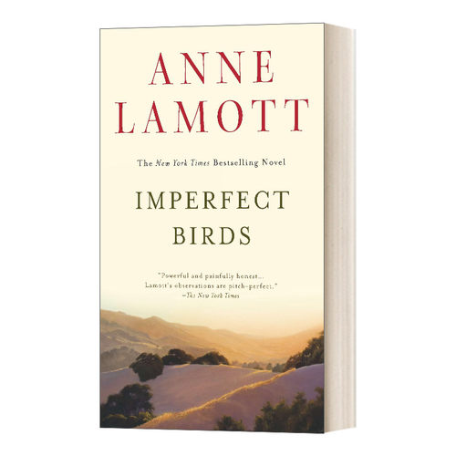 Imperfect Birds 不完美的鸟类 女性小说 Anne Lamott进口原版英文书籍