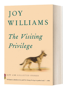 The Visiting Privilege 来访的特权进口原版英文书籍