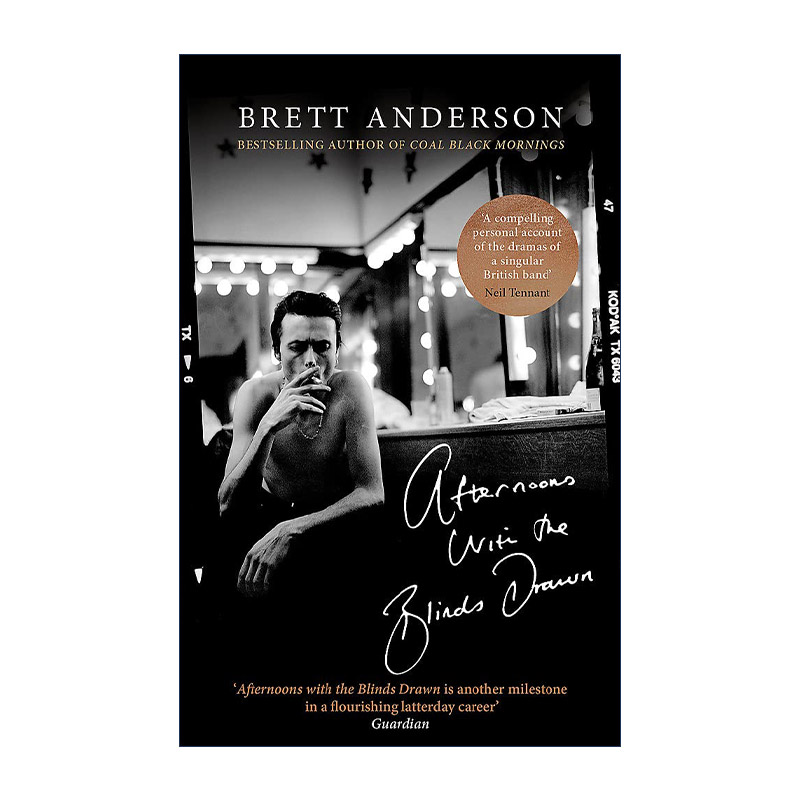 英文原版 Afternoons with the Blinds Drawn 拉下百叶窗的午后 山羊皮主唱布雷特·安德森Brett Anderson英文版进口英语原版书籍