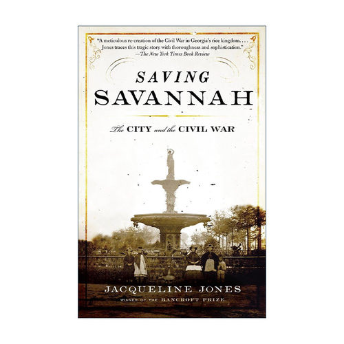英文原版 Saving Savannah 拯救萨凡纳 城市与内战 美国历史 Jacqueline Jones 英文版 进口英语原版书籍