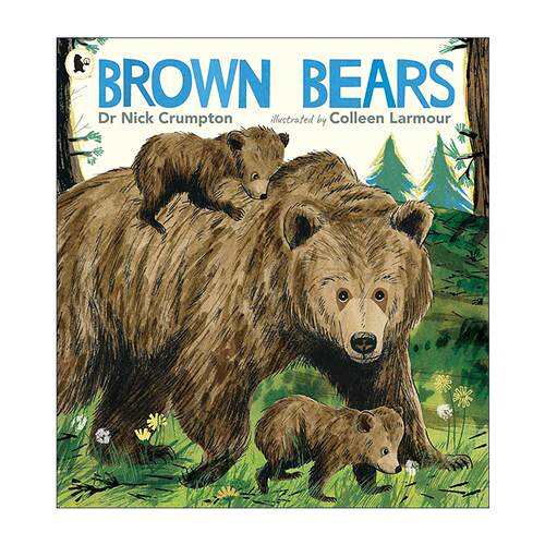 英文原版 Brown Bears 棕熊的故事 儿童动物自然科学科普百科绘本 大自然故事屋系列 Nature Storybooks 英文版 进口英语原版书籍