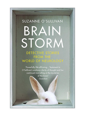 英文原版 Brainstorm 头脑风暴 来自神经科学界的侦探小说 苏珊娜·奥沙利文 英文版 进口英语原版书籍