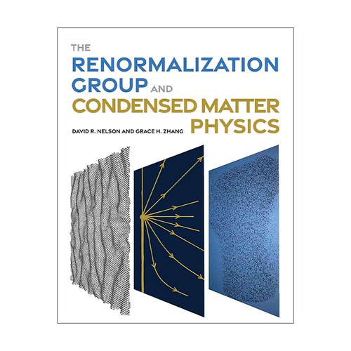 英文原版 The Renormalization Group and Condensed Matter Physics 重整群理论与凝聚态物理学 哈佛大学教授David R. Nelson