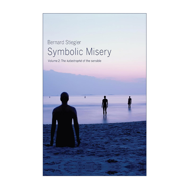 英文原版 Symbolic Misery Vol2 象征的贫困卷2 感性的灾难 贝尔纳·斯蒂格勒 英文版 进口英语原版书籍