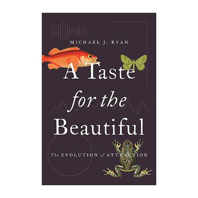 英文原版 A Taste for the Beautiful 性与美 颜值的进化史 动物学讲席教授迈克尔·瑞安 普林斯顿 英文版 进口英语原版书籍