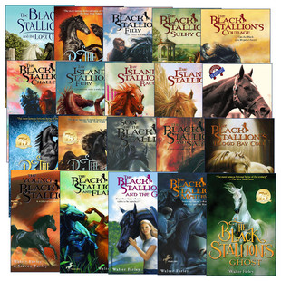 Stallion 黑神驹系列20册 进口英语原版 The 书籍 青少年骑马动作冒险小说 Black Farley 英文原版 Walter