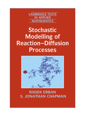 英文原版 Stochastic Modelling of Reaction–Diffusion Processes 反应-扩散过程的随机建模 剑桥应用数学文本系列 进口英语书籍