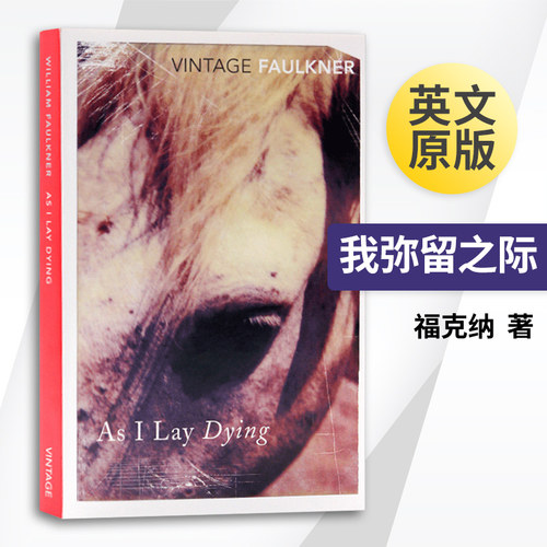 我弥留之际英文原版小说