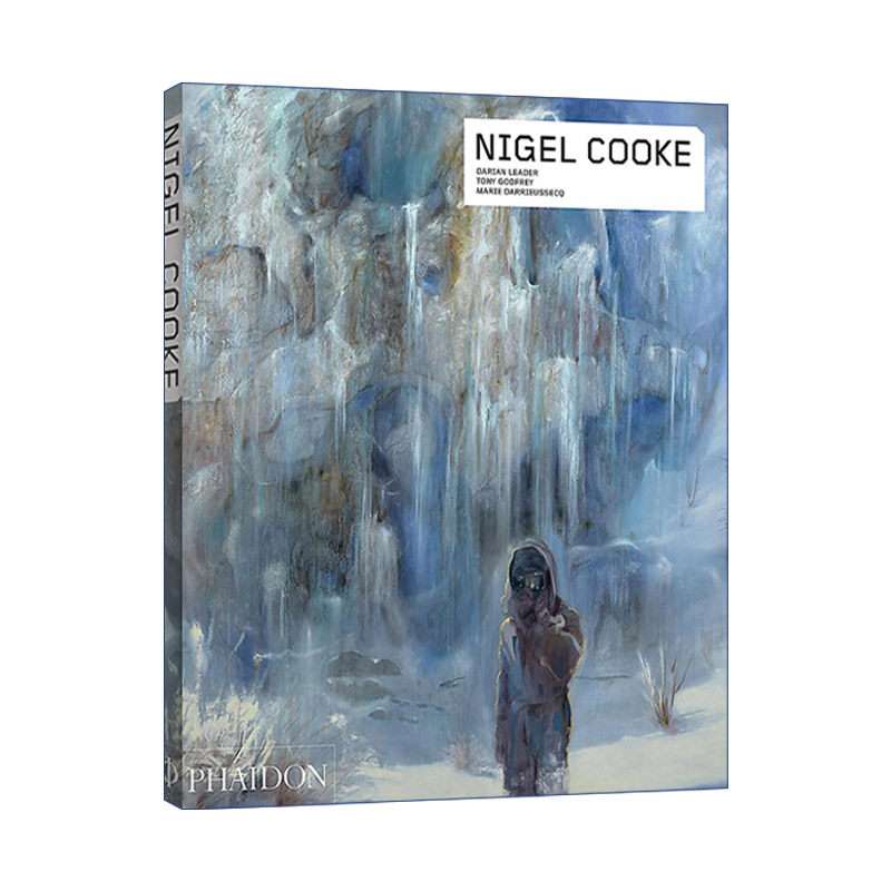 Nigel Cooke 英国绘画艺术家奈杰尔·库克作品集 费顿当代艺术家系列进口英文原版书籍