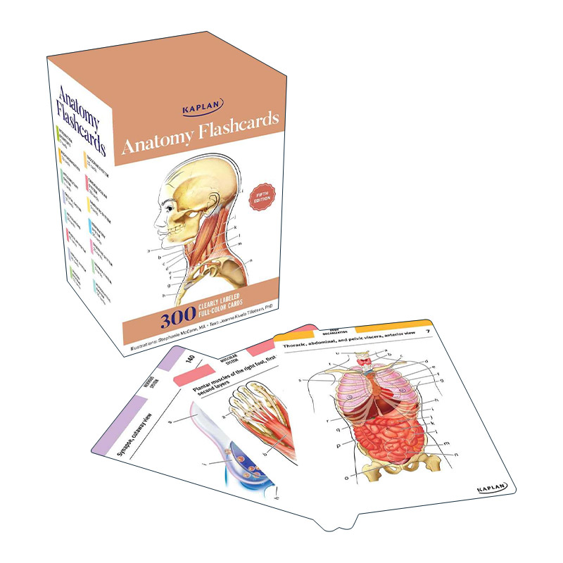 英文原版 Kaplan Anatomy Flash cards 卡普兰解剖学闪卡300张 第5版 英文版 进口英语原版书籍