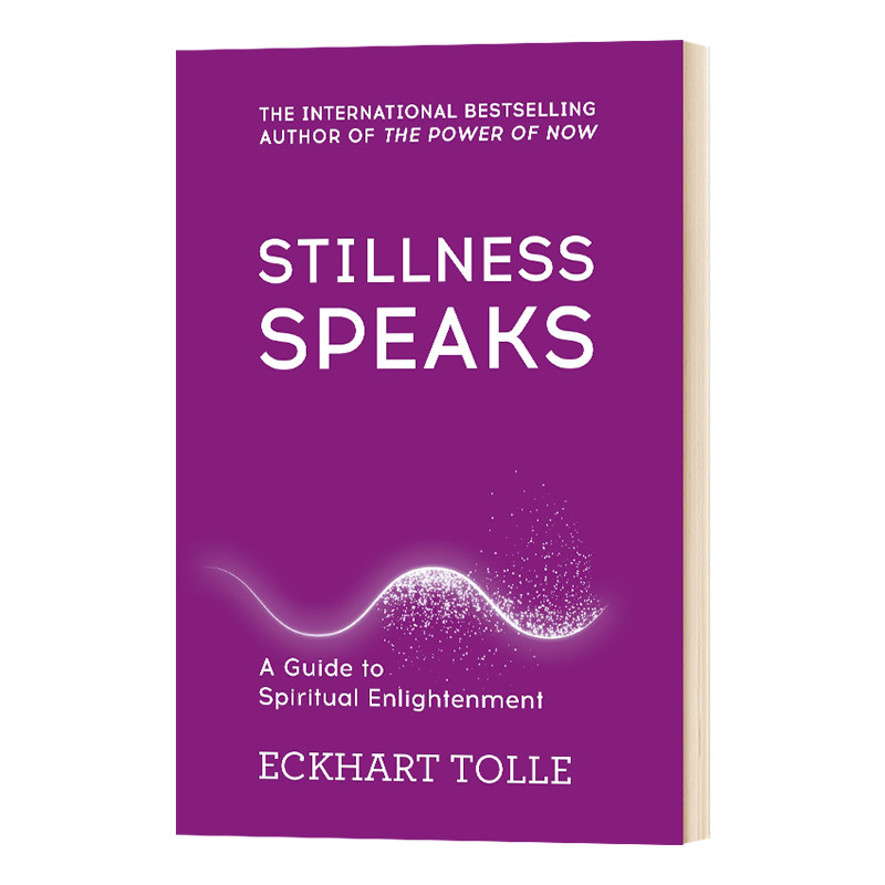 Stillness Speaks 当下的力量 无声胜有声进口原版英文书籍