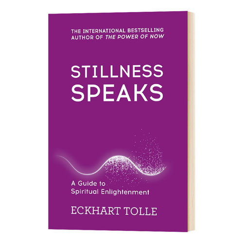 Stillness Speaks 当下的力量 无声胜有声进口原版英文书籍